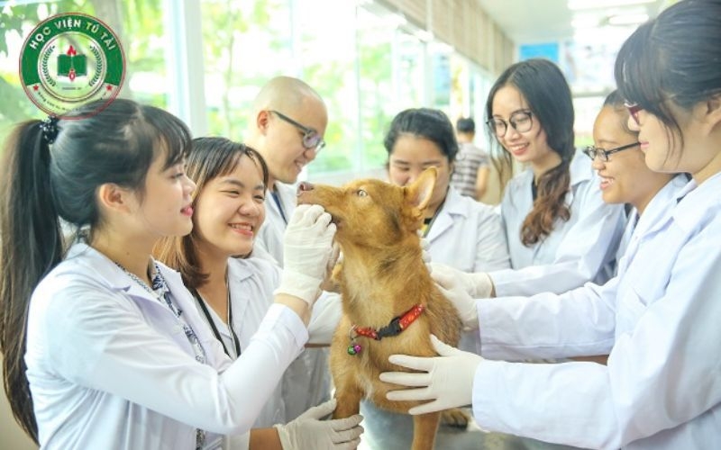Liên thông Cao đẳng Thú Y vừa học vừa làm cho người đã đi làm 5 Mô hình học liên thông Cao đẳng Thú Y vừa học vừa làm