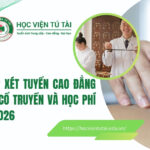 Tổ hợp xét tuyển Cao đẳng Y học cổ truyền và học phí năm 2026 8 Tổ hợp xét tuyển cao đẳng y học cổ truyền