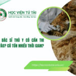 Liên thông Bác sĩ Thú Y có cần thi tuyển đầu vào? Có tốn nhiều thời gian? 8 Liên thông bác sĩ thú y có cần thi tuyển đầu vào