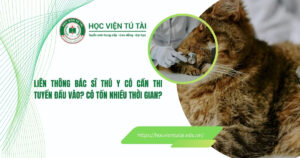 Liên thông bác sĩ thú y có cần thi tuyển đầu vào