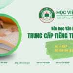 Nên học Văn bằng 2 Trung cấp Tiếng Trung online