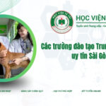 Các trường đào tạo Trung cấp Thú Y uy tín sài gòn