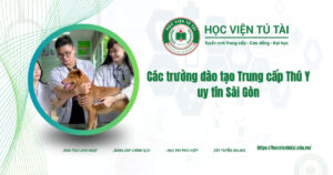 Các trường đào tạo Trung cấp Thú Y uy tín sài gòn