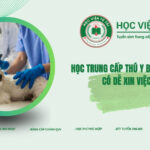 Học Trung cấp Thú y bao lâu có bằng