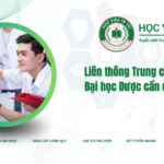 Liên thông trung cấp Dược lên Đại học dược cần điều kiện gì?