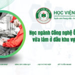 Học ngành công nghệ ô tô hệ vừa học vừa làm