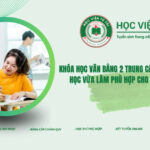 Khóa học văn bằng 2 Trung cấp Tiếng Anh hệ vừa học vừa làm phù hợp cho người đã đi làm