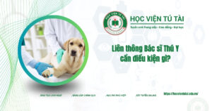 Liên thông bác sĩ thú y cần điều kiện gì?