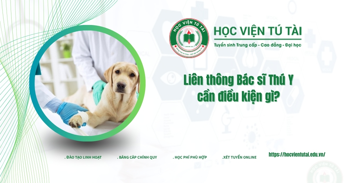 Liên thông Bác sĩ Thú Y cần điều kiện gì? 7 Liên thông bác sĩ thú y cần điều kiện gì?