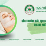 Trường đào tạo Chăm sóc sắc đẹp online miền Nam