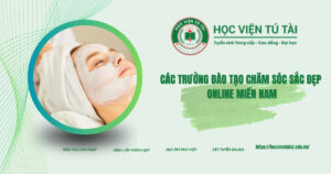 Trường đào tạo Chăm sóc sắc đẹp online miền Nam