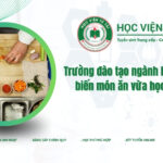 Trường đào tạo ngành Kỹ thuật chế biến món ăn vừa học vừa làm uy tín nhất 7 Trường đào tạo ngành Kỹ thuật chê sbieens món ăn vừa học vừa làm