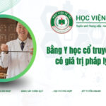 Bằng Y học cổ truyền hệ từ xa có giá trị pháp lý