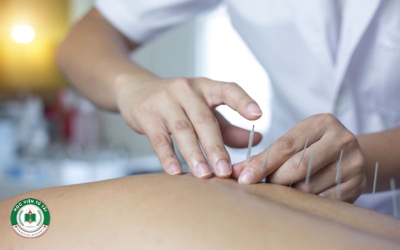 Tại sao nên chọn học bằng Y học cổ truyền hệ từ xa thay vì tập trung?