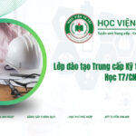 Lớp đào tạo Trung cấp Kỹ thuật xây dựng - Học T7/CN
