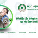 Điều kiện Liên thông Bác sĩ Thú Y hệ vừa học vừa làm cập nhật mới nhất 1 Điều kiện Liên thông Bác sĩ Thú Y hệ vừa học vừa làm cập nhật mới nhất