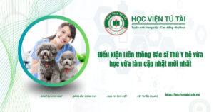 Điều kiện Liên thông Bác sĩ Thú Y hệ vừa học vừa làm cập nhật mới nhất