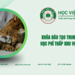 Khóa đào tạo Trung cấp Thú Y học phí thấp khu vực Miền Nam
