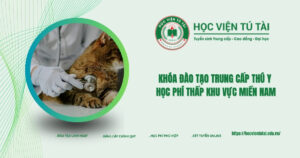 Khóa đào tạo Trung cấp Thú Y học phí thấp khu vực Miền Nam