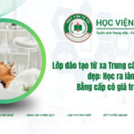 Lớp đào tạo từ xa Trung cấp Chăm sóc sắc đẹp: Học ra làm gì? Bằng cấp có giá trị không?