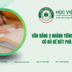 Văn bằng 2 ngành Tiếng Trung hệ từ xa có đủ để bứt phá thu nhập?