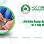 Liên thông Trung cấp lên Bác sĩ Thú Y mấy năm?