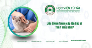 Liên thông Trung cấp lên Bác sĩ Thú Y mấy năm?