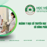 Ngành Y học cổ truyền học từ xa liệu bằng cấp có đúng pháp lý?