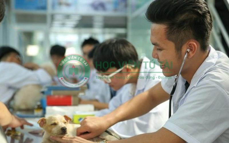 Lớp Trung cấp Thú y hệ văn bằng 2 học T7/CN cho người bận rộn? 5 Giá trị pháp lý của văn bằng sau khi hoàn thành khóa học
