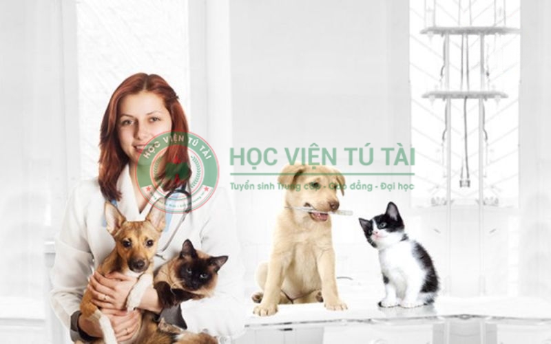 Lớp Trung cấp Thú y hệ văn bằng 2 học T7/CN cho người bận rộn? 4 Lý do nên chọn lớp trung cấp thú y hệ văn bằng 2 khi đã đi làm
