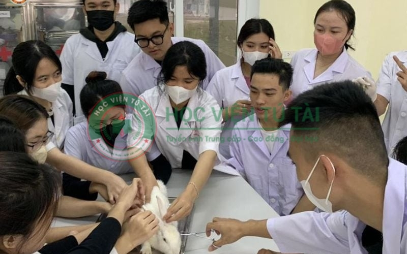 Học Văn bằng 2 Trung cấp Thú Y học ngoài giờ hành chính 4 Chi phí học văn bằng 2 Trung cấp Thú Y học bao nhiêu tiền?