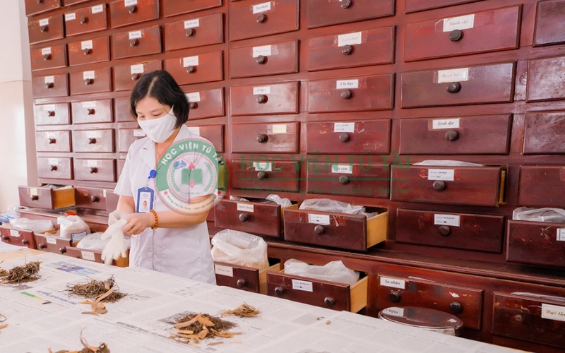 Mức lương của Bác sĩ Y học cổ truyền hiện nay bao nhiêu? 6 Cơ hội việc làm ngành Y học cổ truyền hiện nay?