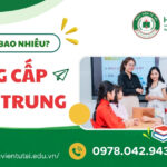 Học phí Trung cấp tiếng Trung bao nhiêu? Học ở đâu giá rẻ? 8 Học phí Trung cấp tiếng Trung bao nhiêu
