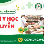 Mức lương của Bác sĩ Y học cổ truyền hiện nay bao nhiêu?