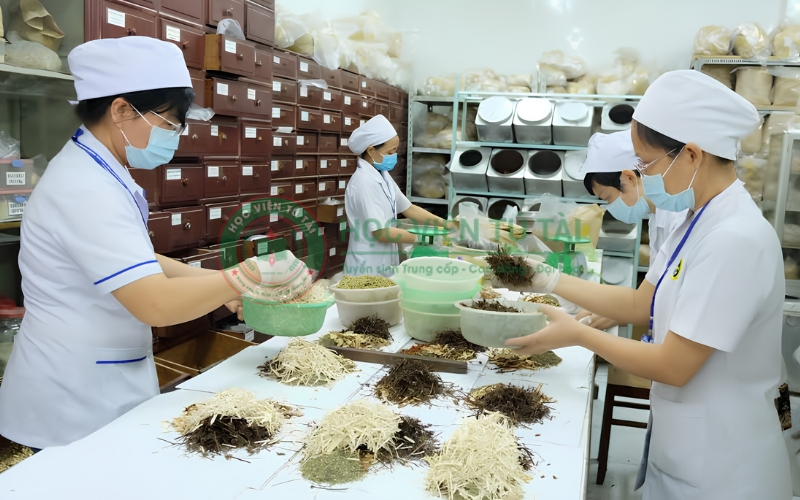 Mức lương của Bác sĩ Y học cổ truyền hiện nay bao nhiêu? 4 Mức lương của Bác sĩ Y học cổ truyền hiện nay bao nhiêu