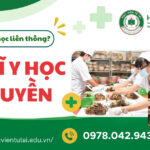 Những ai có thể học liên thông bác sĩ y học cổ truyền? 7 Những ai có thể học liên thông bác sĩ y học cổ truyền?