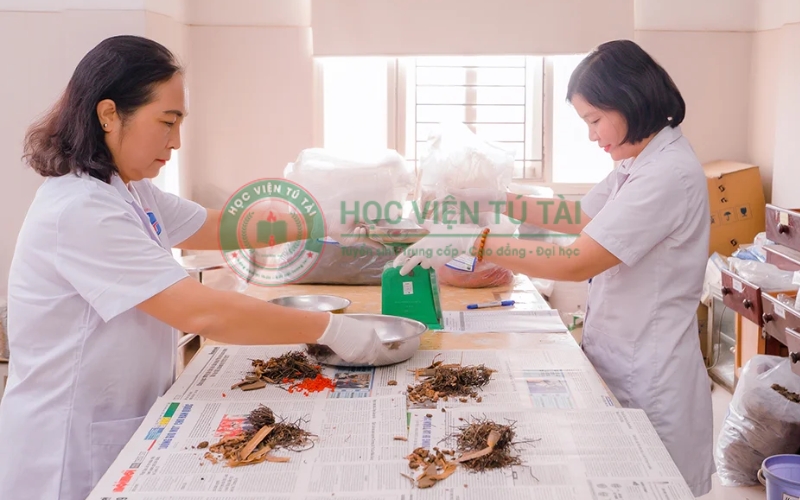Mức lương của Bác sĩ Y học cổ truyền hiện nay bao nhiêu? 5 Những khoản thu nhập khác ngoài mức lương của Bác sĩ Y học cổ truyền