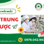 Quy định về bằng Trung cấp Dược bạn nên biết